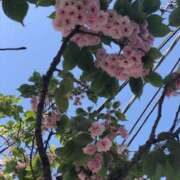 ヒメ日記 2026/04/19 00:34 投稿 白河はのん アリスカフェ