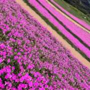 ヒメ日記 2025/10/07 19:28 投稿 美月みゆ アリスカフェ