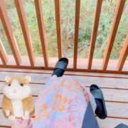 ヒメ日記 2026/03/03 08:11 投稿 りさ ビギナーズ和歌山