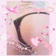 ヒメ日記 2025/04/25 02:34 投稿 るりこ 千葉人妻花壇