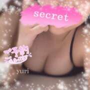 ヒメ日記 2025/04/23 16:33 投稿 ゆり パンドラ(上野)