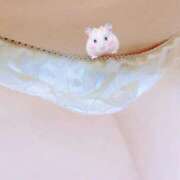 ヒメ日記 2025/05/02 16:30 投稿 すみれ Second Love（セカンドラブ）