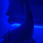 ヒメ日記 2025/07/02 00:15 投稿 すみれ Second Love（セカンドラブ）