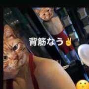 ヒメ日記 2025/10/15 12:01 投稿 すみれ Second Love（セカンドラブ）