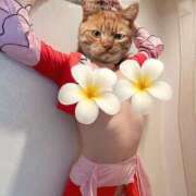 ヒメ日記 2025/12/05 07:45 投稿 すみれ Second Love（セカンドラブ）