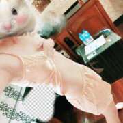 すみれ チラッ|ω-｀*) Second Love（セカンドラブ）