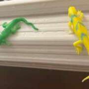 ヒメ日記 2025/05/24 16:53 投稿 加藤　看護師 うちの看護師にできることと言ったら・・・in渋谷KANGO