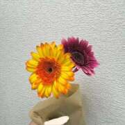 にこ ありがとう⸝⸝⸝⸝♡ 学校帰りの妹に手コキしてもらった件 谷九