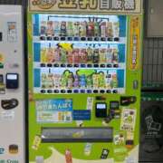 ヒメ日記 2025/04/15 11:33 投稿 つむぎ アクトレス池袋店(ユメオト)