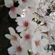 ヒメ日記 2025/06/07 22:07 投稿 こはる 西川口淑女館