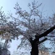 ヒメ日記 2026/03/30 18:57 投稿 こはる 西川口淑女館