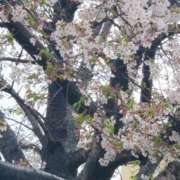 ヒメ日記 2025/04/13 16:52 投稿 ゆず ビーナス(宇都宮)