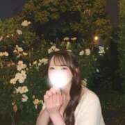 ヒメ日記 2026/06/04 15:15 投稿 稲村のぞみ ブルーバード