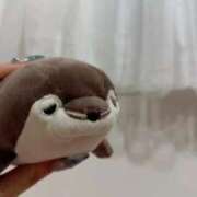 ヒメ日記 2026/01/13 22:45 投稿 ひなた E+アイドルスクール新宿・歌舞伎町店