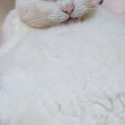 ヒメ日記 2025/09/21 08:27 投稿 める 土浦ハッピーマットパラダイス