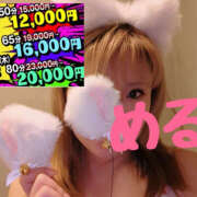 める ケモミミだらけ 土浦ハッピーマットパラダイス