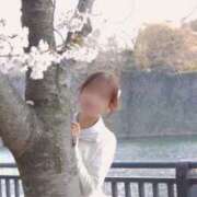 ヒメ日記 2025/04/05 09:05 投稿 藤咲 りえ キングアンドクイーン