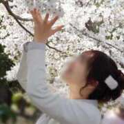 ヒメ日記 2025/04/07 06:30 投稿 藤咲 りえ キングアンドクイーン