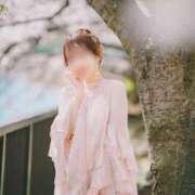 ヒメ日記 2025/04/11 12:05 投稿 藤咲 りえ キングアンドクイーン