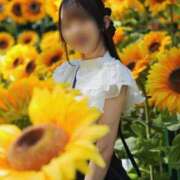 ヒメ日記 2025/08/17 09:47 投稿 藤咲 りえ キングアンドクイーン