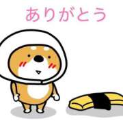 ヒメ日記 2025/06/28 14:21 投稿 はじめ いきなりまかさんかい