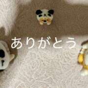 ヒメ日記 2025/07/19 17:21 投稿 はじめ いきなりまかさんかい