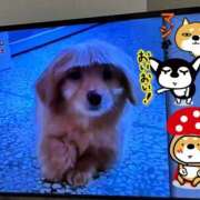 ヒメ日記 2025/07/30 16:41 投稿 はじめ いきなりまかさんかい