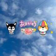 ヒメ日記 2025/08/01 08:01 投稿 はじめ いきなりまかさんかい