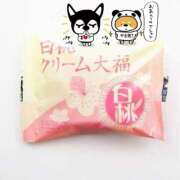 ヒメ日記 2025/08/19 08:51 投稿 はじめ いきなりまかさんかい