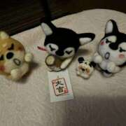 ヒメ日記 2025/10/18 17:31 投稿 はじめ いきなりまかさんかい