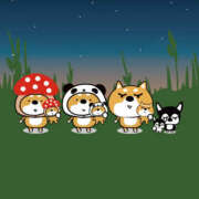 ヒメ日記 2025/10/19 05:11 投稿 はじめ いきなりまかさんかい