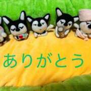 ヒメ日記 2025/11/01 07:41 投稿 はじめ いきなりまかさんかい