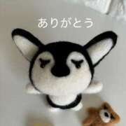 ヒメ日記 2025/11/02 05:11 投稿 はじめ いきなりまかさんかい