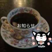 ヒメ日記 2025/11/08 00:06 投稿 はじめ いきなりまかさんかい