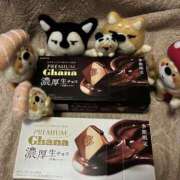 ヒメ日記 2025/11/20 14:11 投稿 はじめ いきなりまかさんかい