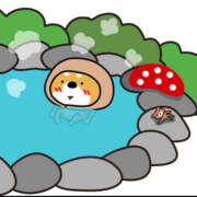 ヒメ日記 2025/11/29 01:21 投稿 はじめ いきなりまかさんかい