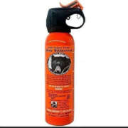 ヒメ日記 2025/11/29 21:51 投稿 はじめ いきなりまかさんかい