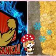 ヒメ日記 2025/12/30 17:31 投稿 はじめ いきなりまかさんかい