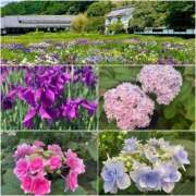 ヒメ日記 2025/05/28 18:22 投稿 陽菜 浜松人妻援護会