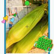 ヒメ日記 2025/06/25 00:22 投稿 陽菜 浜松人妻援護会