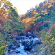 ヒメ日記 2025/11/14 23:45 投稿 陽菜 浜松人妻援護会