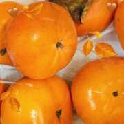 ヒメ日記 2025/11/27 20:03 投稿 陽菜 浜松人妻援護会