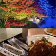 ヒメ日記 2025/11/28 22:31 投稿 陽菜 浜松人妻援護会