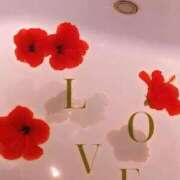 ヒメ日記 2026/01/24 18:16 投稿 陽菜 浜松人妻援護会