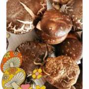 陽菜 こんばんは 浜松人妻援護会