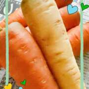 ヒメ日記 2026/03/26 20:12 投稿 陽菜 浜松人妻援護会