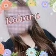 ヒメ日記 2025/04/18 07:56 投稿 こはる 京都の痴女鉄道