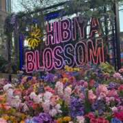 ヒメ日記 2025/04/04 21:01 投稿 白石まなみ ウフフな40。ムフフな50。。（横浜ハレ系）