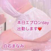 ヒメ日記 2025/04/20 07:01 投稿 白石まなみ ウフフな40。ムフフな50。。（横浜ハレ系）