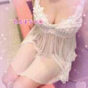 ヒメ日記 2025/08/05 07:00 投稿 白石まなみ ウフフな40。ムフフな50。。（横浜ハレ系）